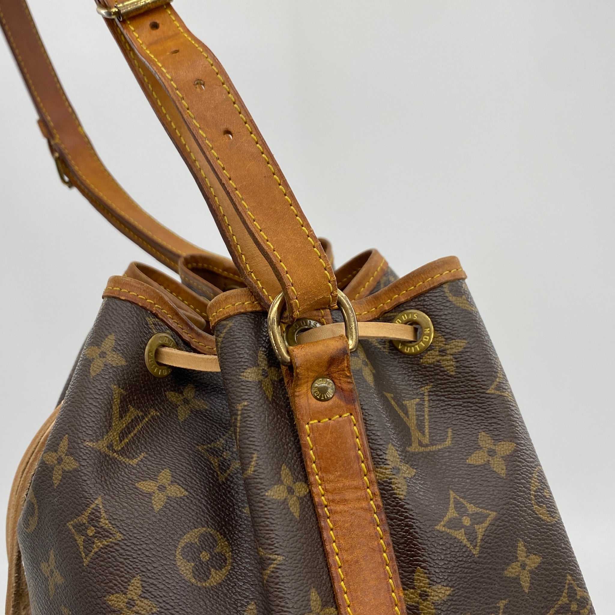 Noe Monogram Canvas Bag