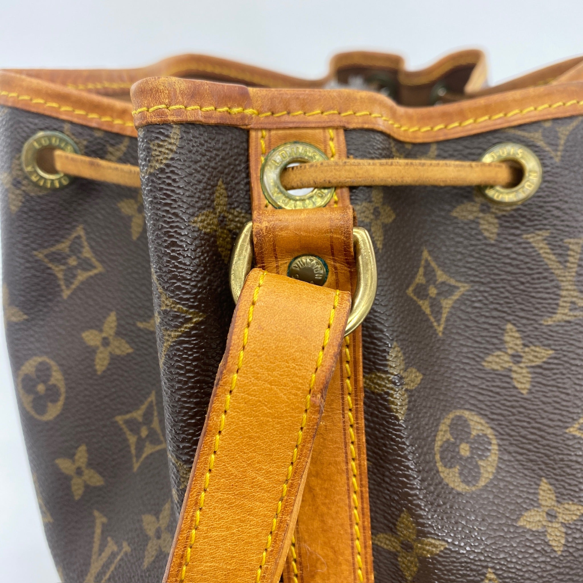 Noe Monogram Canvas Bag