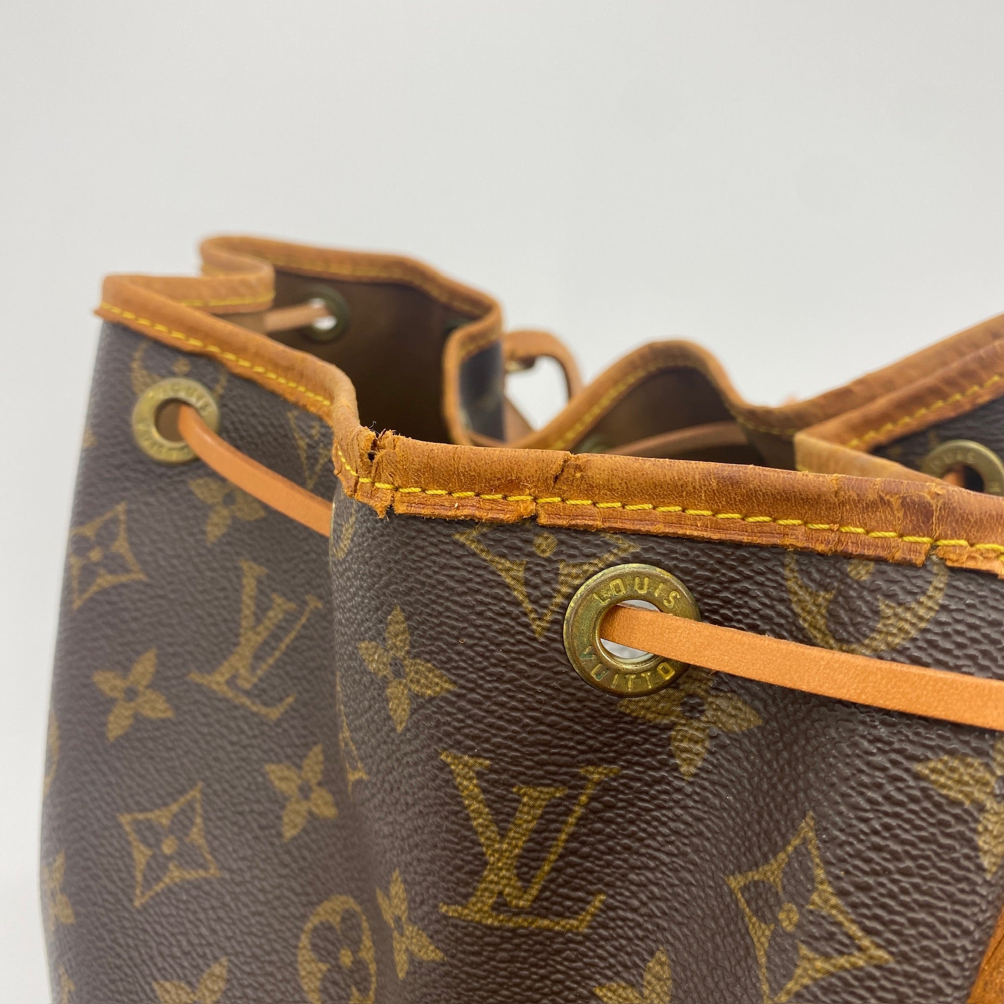 Noe Monogram Canvas Bag